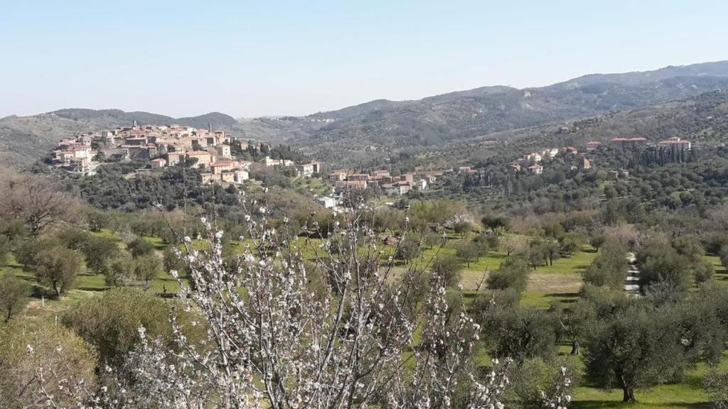 Giardino Di Potentino Seggiano Εξωτερικό φωτογραφία
