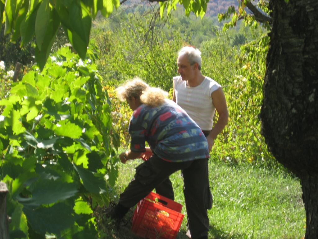 Giardino Di Potentino Seggiano Εξωτερικό φωτογραφία