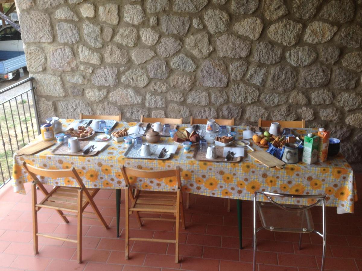 Giardino Di Potentino Seggiano Εξωτερικό φωτογραφία